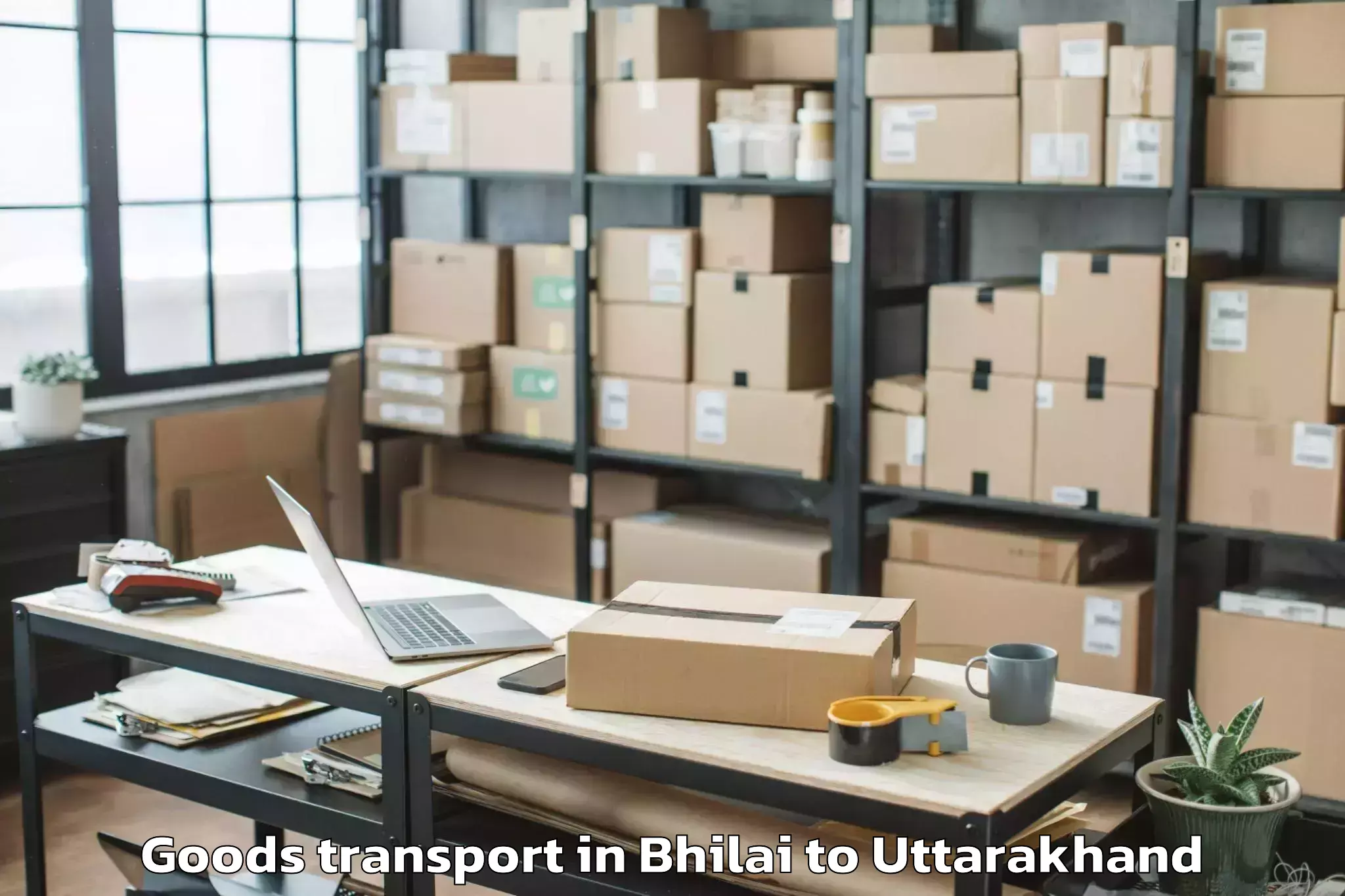 Quality Bhilai to Hemwati Nandan Bahuguna Uttara Goods Transport